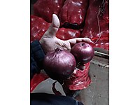 üreticiden mor soğan