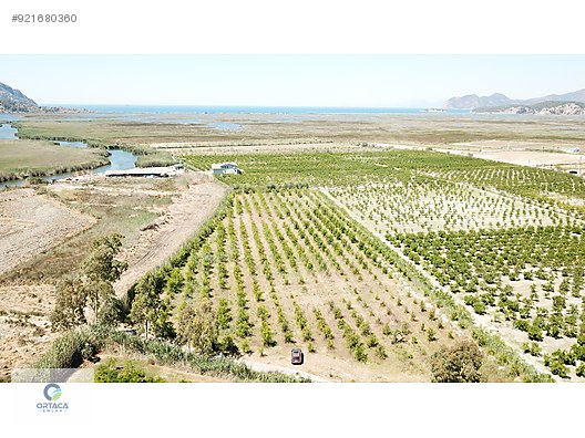 dalyan satilik arsa ilanlari ve fiyatlari sahibinden com da dalyan satilik arsa ilanlari ve fiyatlari sahibinden com da