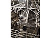 Used & Brand New Items / Electrical Appliances / Appliances / Dishwashers