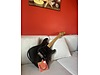 Squier Elektro Gitar