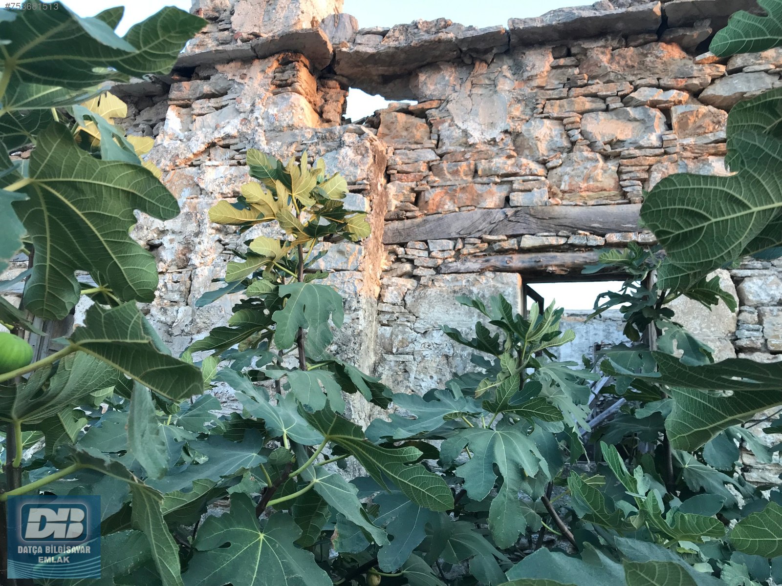 DATÇA BİLGİSAYAR EMLAKTAN KÖY İÇİNDE SATILIK 2 KARGIR EV VE ARSA