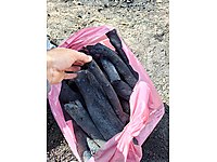 pırnal mangal nargile kömürü