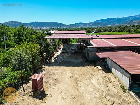 İZMİR KİRAZ'DA 5500 M2 ARSA İÇİNDE 1800 M2 HAZIR BÜYÜKBAŞ DAMI #1256681906