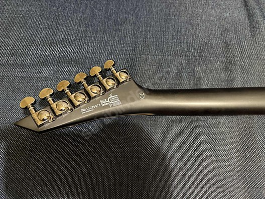 Washburn Elektro Gitar