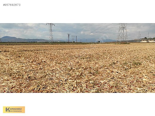 izmir menderes tekeli izban yani satilik tarla 6 000m2 satilik arsa ilanlari sahibinden com da 957682673 izmir menderes tekeli izban yani satilik tarla 6 000m2 satilik arsa ilanlari sahibinden com da 957682673