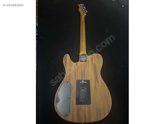 Fender Elektro Gitar