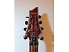 Schecter Elektro Gitar