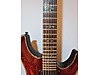 Schecter Elektro Gitar