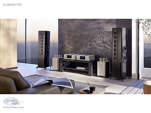 Used & Brand New Items / Home Electronics / Home Audio / Amplifiers / T+A