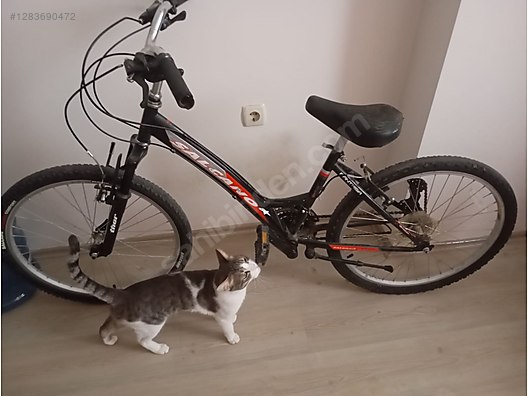 İkinci El ve Sıfır Alışveriş / Spor / Bisiklet / Şehir & Tur Bisikleti