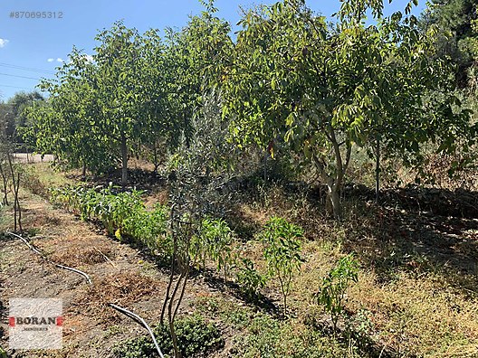 borandan menderes catalcada dogal yasam mustakil parsel satilik arsa ilanlari sahibinden com da 870695312 borandan menderes catalcada dogal yasam mustakil parsel satilik arsa ilanlari sahibinden com da 870695312