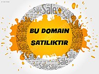 Birticaret.com 2008 Kayıtlı Satılık Domain