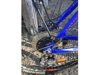 Özel renkte aspıd 39