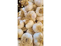 Taşköprü sarımsağı doğal