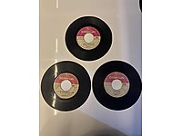 45'lik Plaklar / Şükran Ay