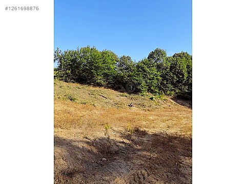 GEBZE AHATLI KÖYÜNDE 2180 M2,EN UYGUN FİYATLI ,HARİKA...