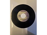 45'lik Plak / Seher Uludağ