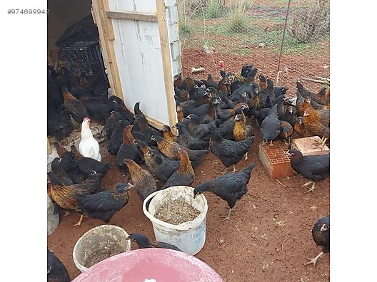 Qcceadpbmmkmnm Qcceadpbmmkmnm