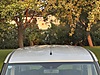 Vasıta / Minivan & Panelvan / Fiat / Doblo Combi / 1.3 Multijet Dynamic