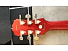 Epiphone Elektro Gitar