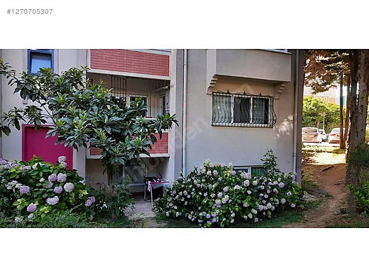 İlan Resmi