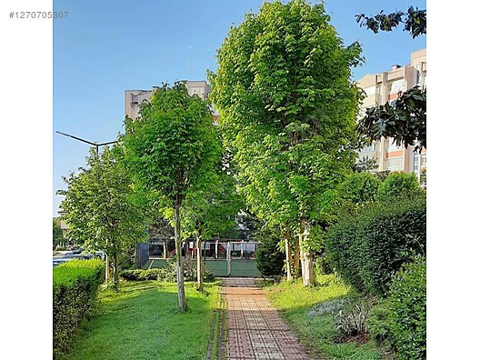 Kiptaş Erguvan Sitesinde sahibinden kiralık