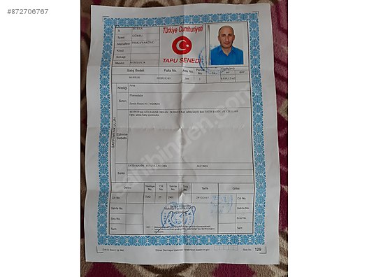 Bursa Gursu Da Satilik Arsa