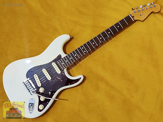 Fender Elektro Gitar