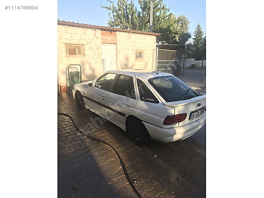 polonya sikiş asshole sex
