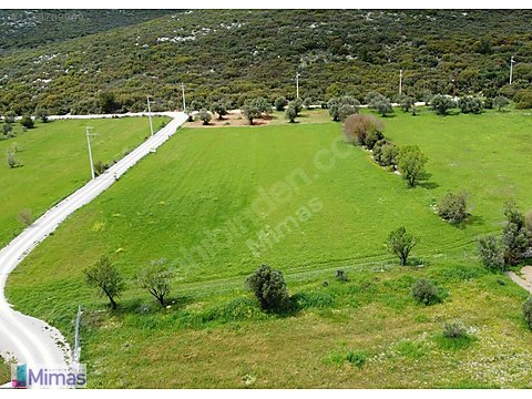 URLA BARBAROS'TA ORMAN SINIRINDA, YATIRIMA UYGUN,...