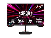 Rampage CR25R300F 25 300Hz 1ms CSOT FAST IPS FHD Oyuncu Monitörü