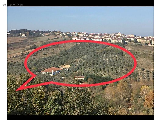 Ercan Aygün inşaat emlaktan Yalova cınarcık calıcada ciflik #1268713499