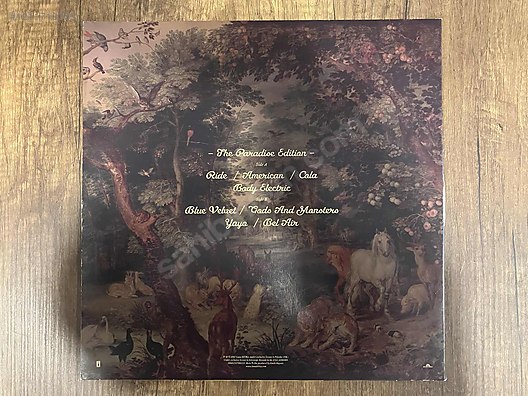 Pop / Lana Del Rey - Paradise LP on sahibinden.com - 1211713735