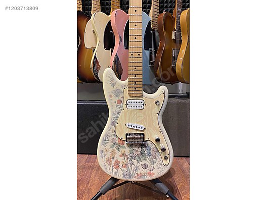 Fender Elektro Gitar