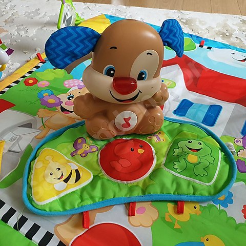 Fisher-Price Köpekçik ve Arkadaşları Jimnastik Merkezi 20 dk'lık
