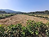 İzmir Menderes Ataköy'de 400m2 Satılık Kooperatif Hissesi