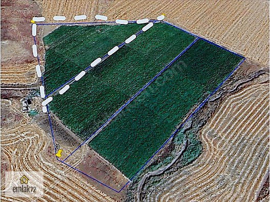 EMLAK 72'DEN BEŞİRİDE SATILIK SULU TARLA #1268717536