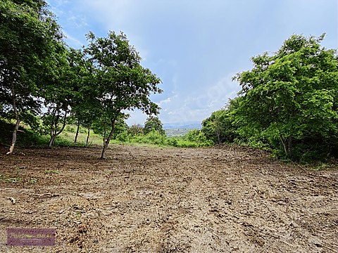 sile isakoy de satilik 370 m2 yolu olan tarimsal turizm imarli satilik arsa ilanlari sahibinden com da 826718129