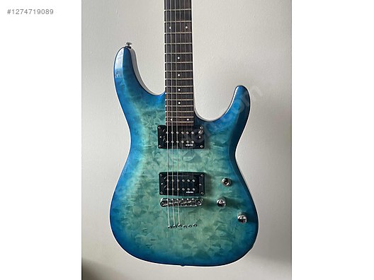 Schecter Elektro Gitar