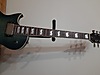 LTD Elektro Gitar