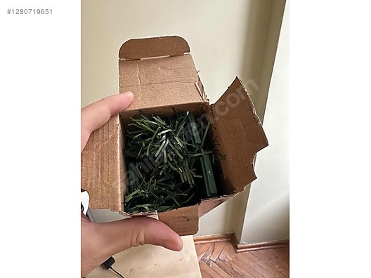 Used & Brand New Items / Everything Else / Holidays & Special Occasions / New Year's