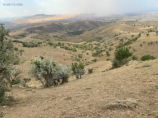 road from nazareth to bethlehem