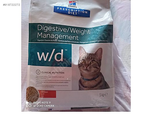 kedi sahibinden