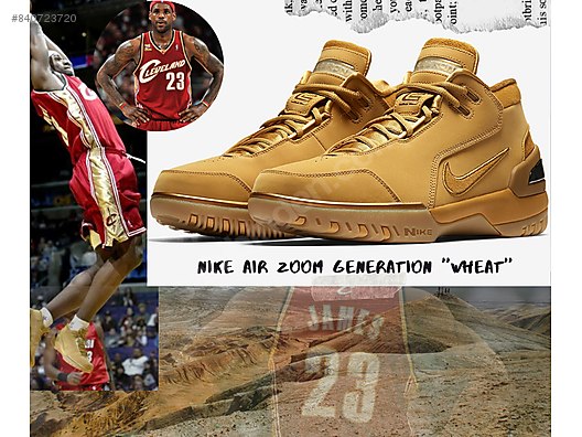 lebron james casual shoes