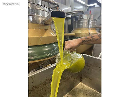 İkinci El ve Sıfır Alışveriş / Yiyecek & İçecek / Şarküteri / Zeytinyağı