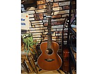 takamine gn20 akustik gitar