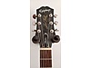 Epiphone Elektro Gitar