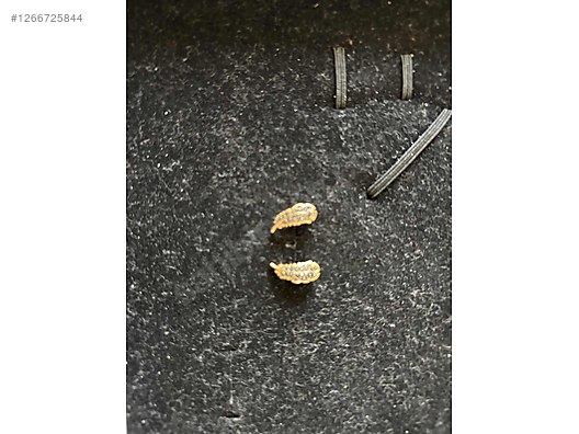 İkinci El Swarovski Gümüş Kol Düğmesi