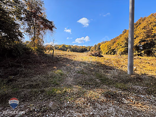 SAKARYA KAYNARCA TURNALI DA 11.830 M² ARAZİ