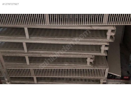 Petek - Petek & Havlupan